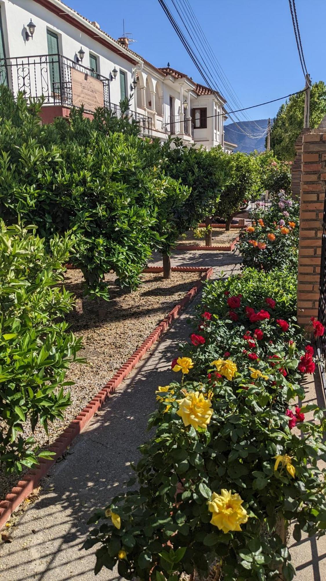 Talara La Canota 2-Floors King Rooms Adults Only מראה חיצוני תמונה